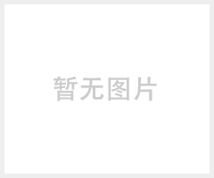 R36AS角位移传感器　